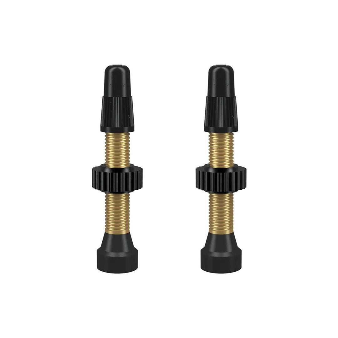WTB TCS® Black Presta Valve 46mm, 2 pcs