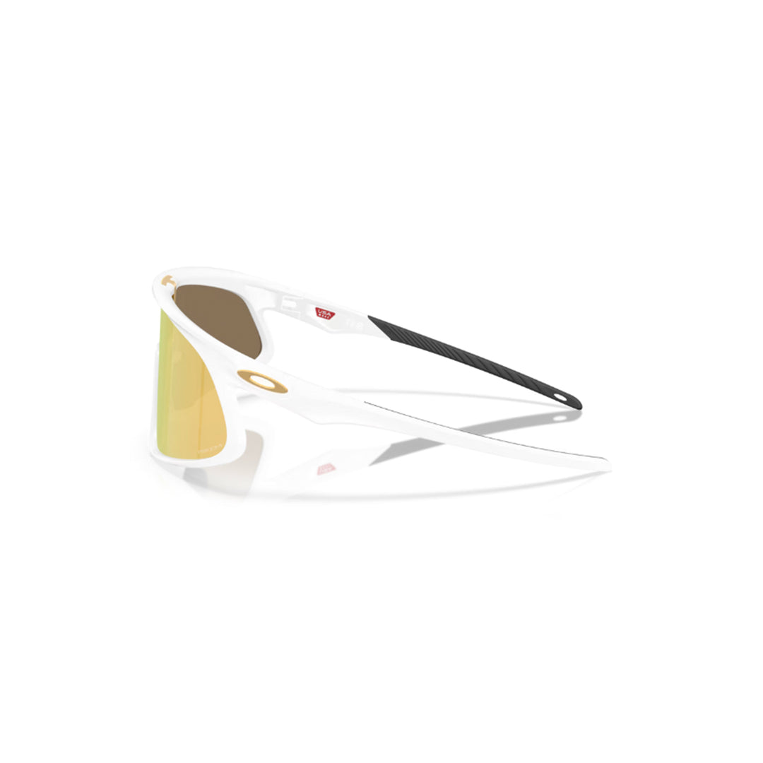 Oakley RSLV Prizm