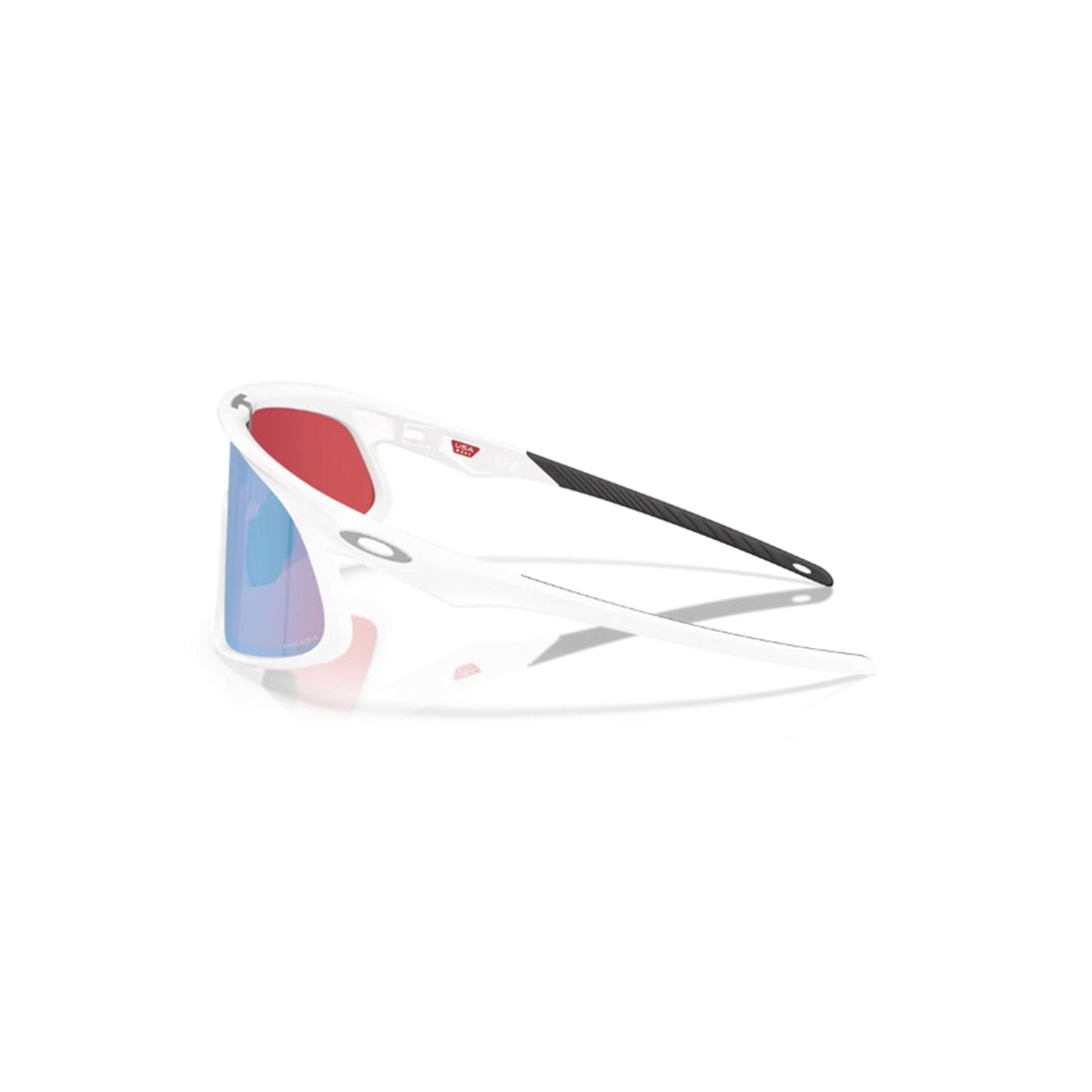 Oakley RSLV Prizm