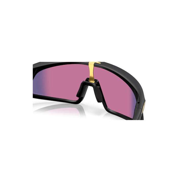 Oakley RSLV Prizm