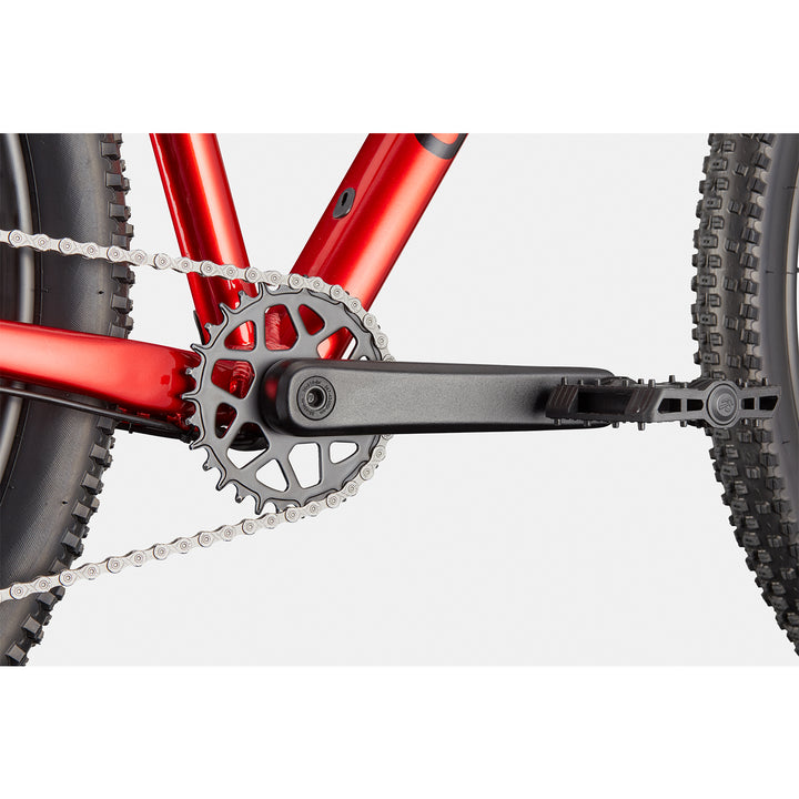Cannondale Trail 2 29"