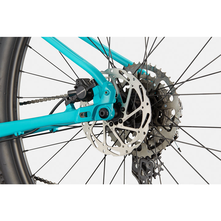 Cannondale Trail 2 29"