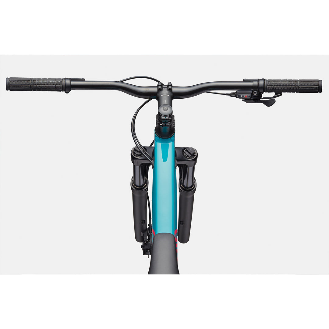Cannondale Trail 2 29"