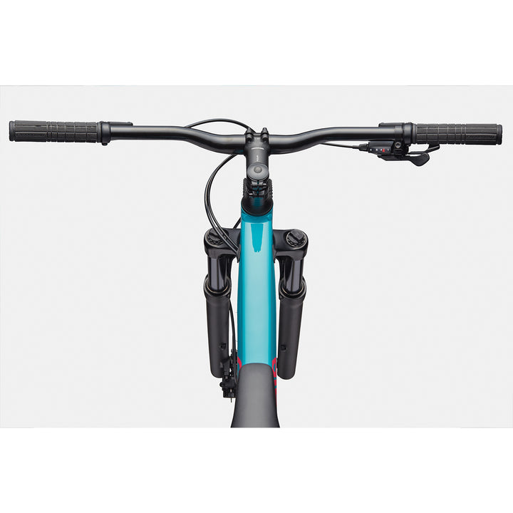 Cannondale Trail 2 29"