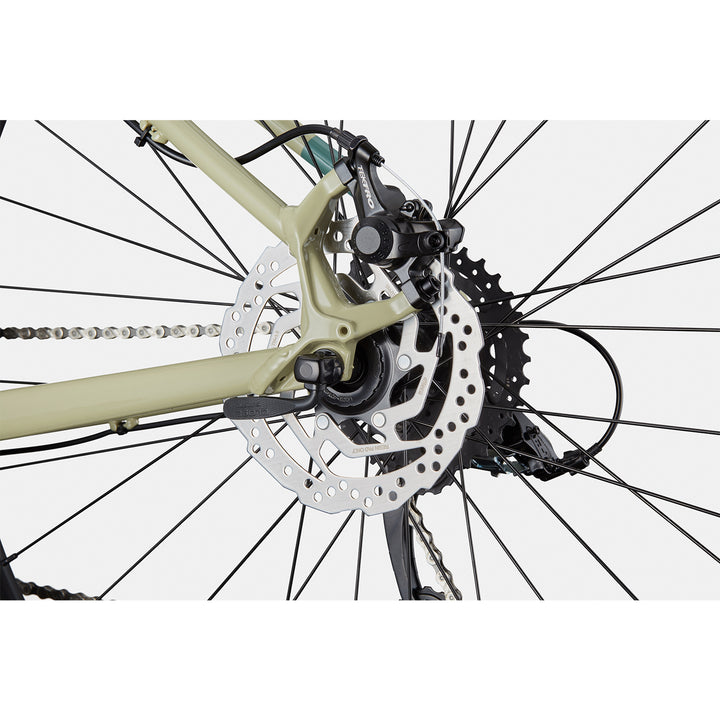 Cannondale Trail 8