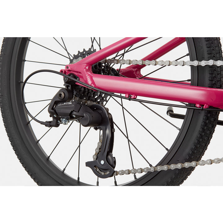 Cannondale Kids Quick 20"