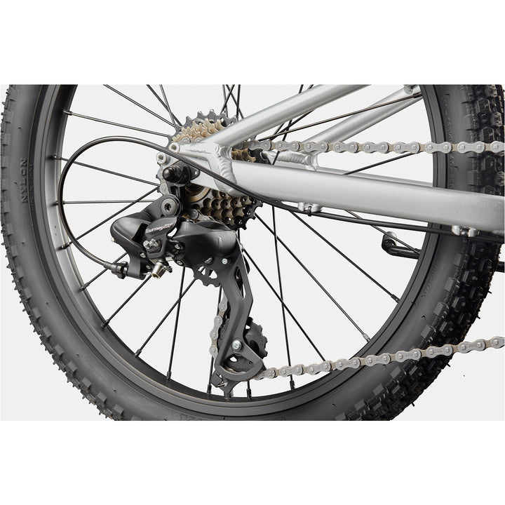 Cannondale Kids Trail 20"