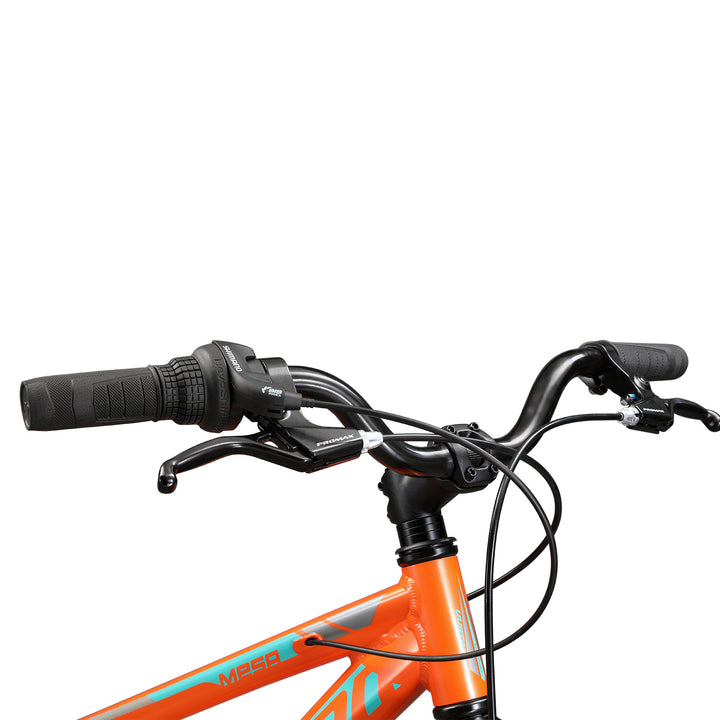 Schwinn Mesa 20" MTB